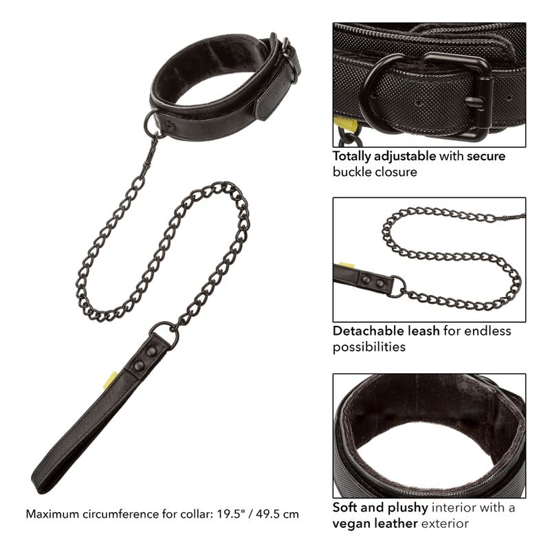 Halsband und Leine ohne Grenzen