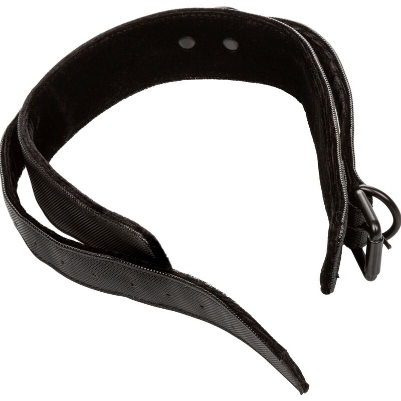 Halsband und Leine ohne Grenzen