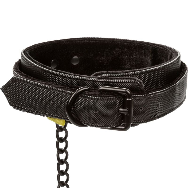 Halsband und Leine ohne Grenzen