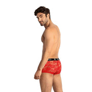 Tapferer Boxer m