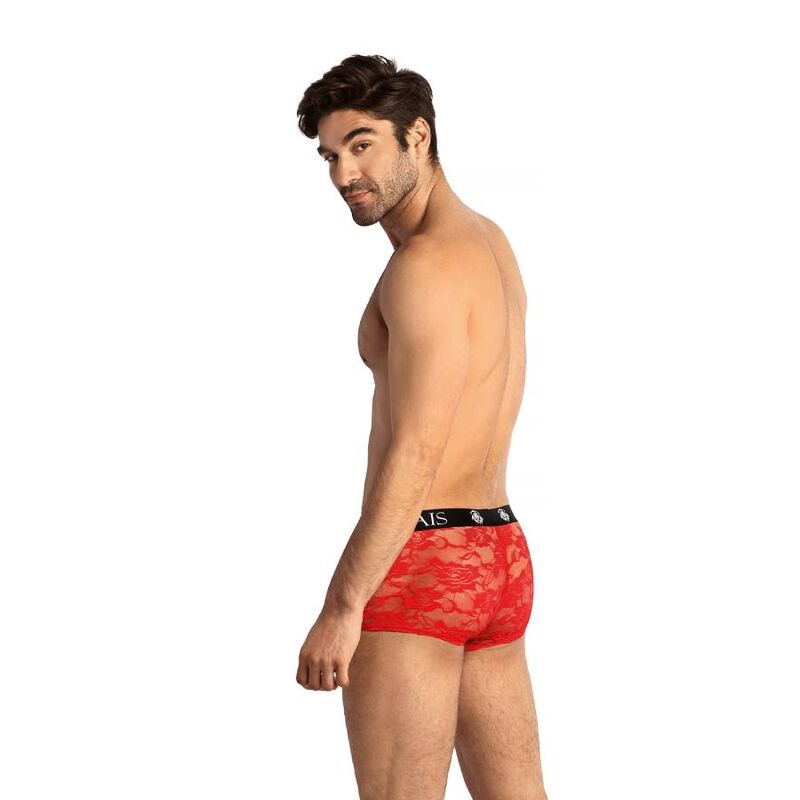 Tapferer Boxer m