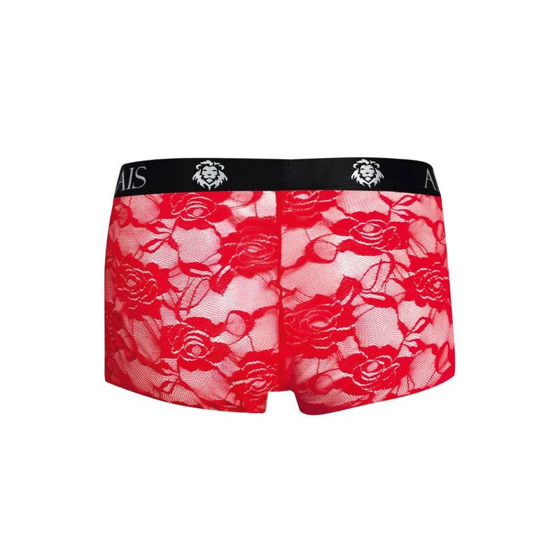 Tapferer Boxer m