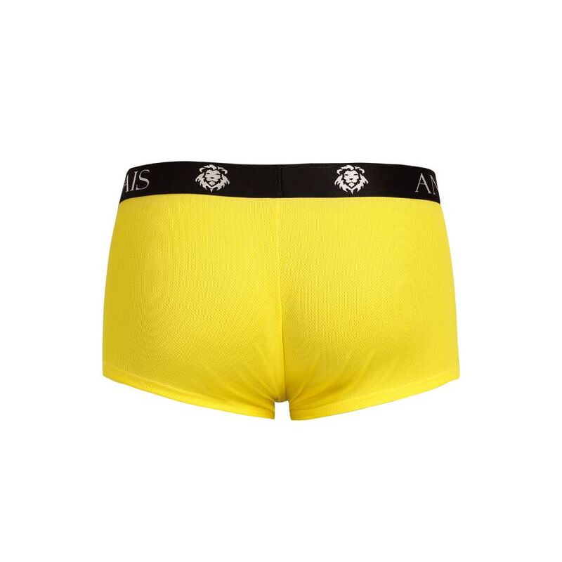 Tokio Boxer l