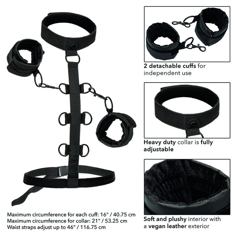 Boundless Fesselhalsband