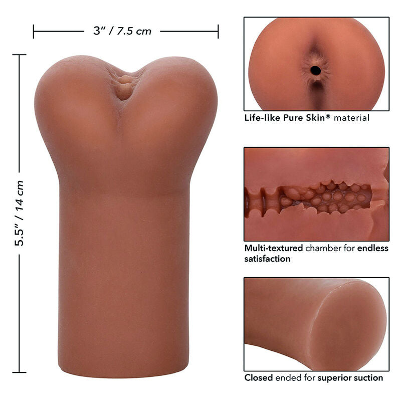 Grenzenloser Brauen-Anus grenzenlos