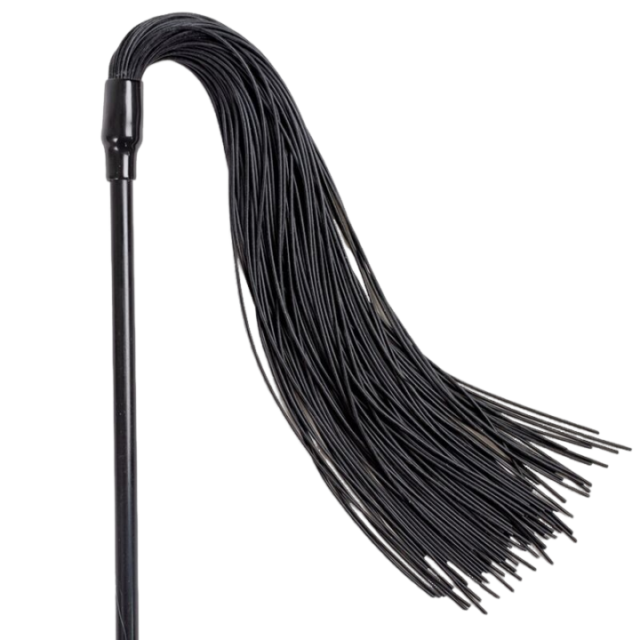 Staubtuch + schwarze Peitsche