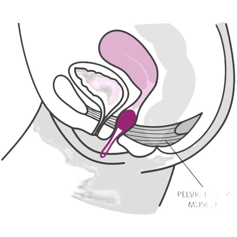 Smartball uno Beckenball weiß / pastellviolett