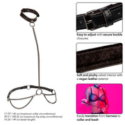 Euphoria Halsband und Kettenleine