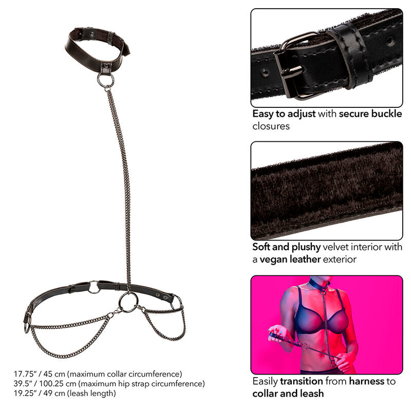 Euphoria Halsband und Kettenleine
