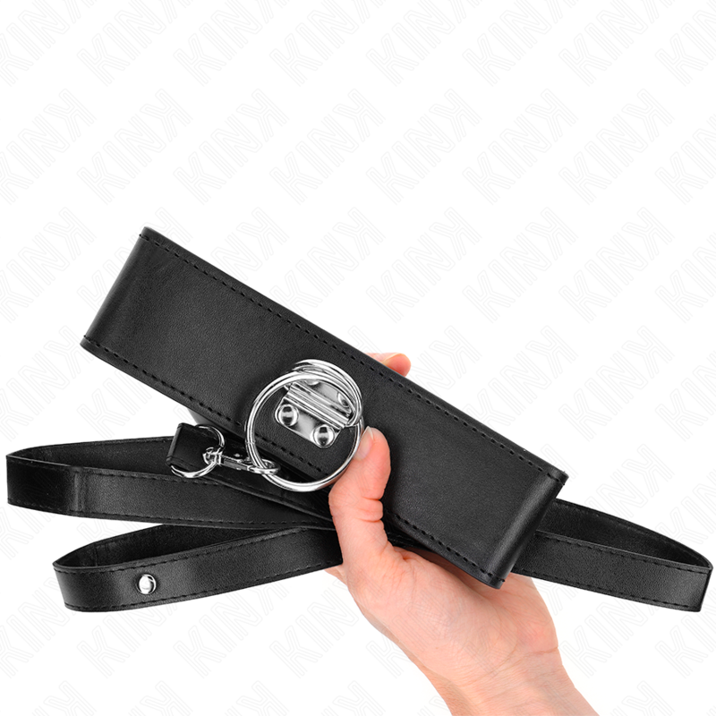 Nietenleine 116 cm Halsband mit Lederriemen 50 x 5 cm