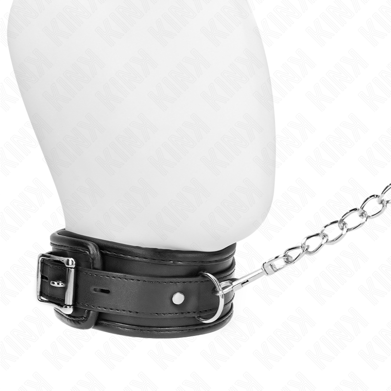 Basismodell Halsband mit Leine 65 cm Modell 1 53 x 6 cm
