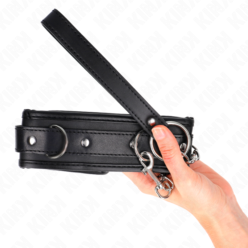 Basismodell Halsband mit Leine 65 cm Modell 1 53 x 6 cm