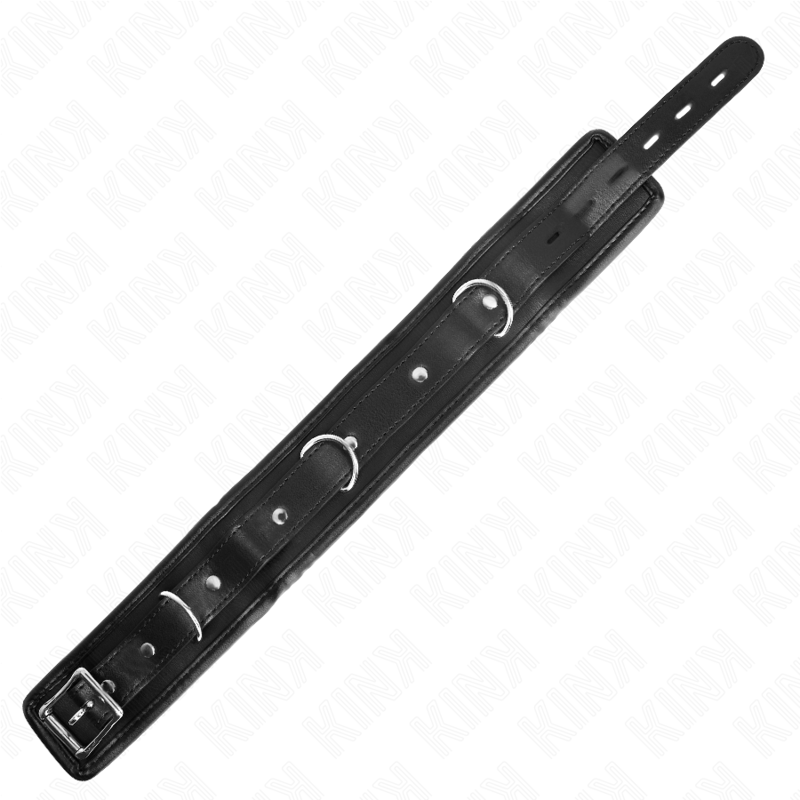 Basismodell Halsband mit Leine 65 cm Modell 1 53 x 6 cm