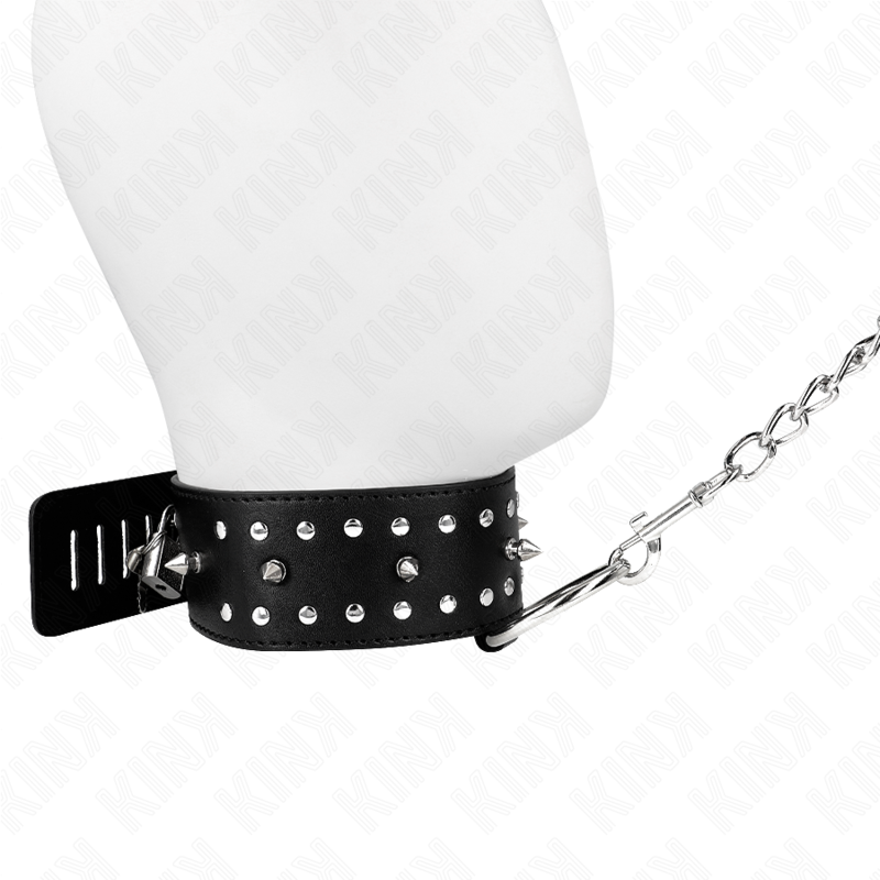 Halsband mit Leine 65 cm mit silbernen Nieten Modell 1 verstellbar 36-43 cm x 5 cm