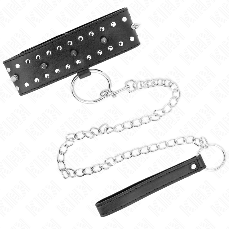 Halsband mit Leine 65 cm mit silbernen Nieten Modell 1 verstellbar 36-43 cm x 5 cm