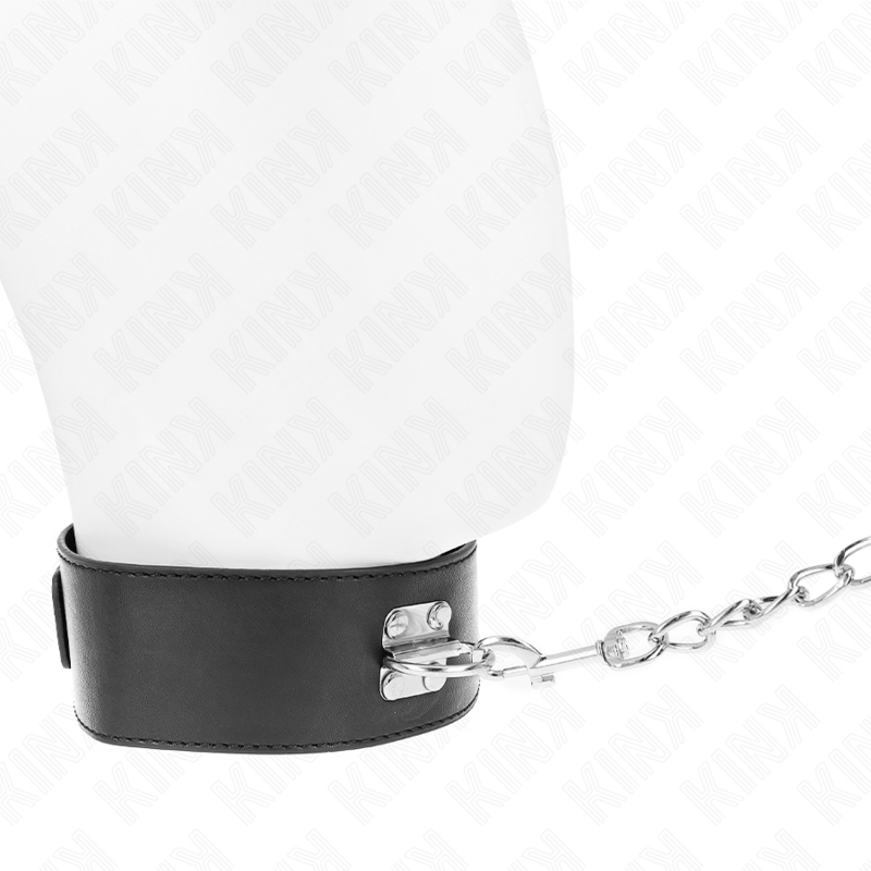 Basismodell Halsband mit 65 cm Leine Modell 0