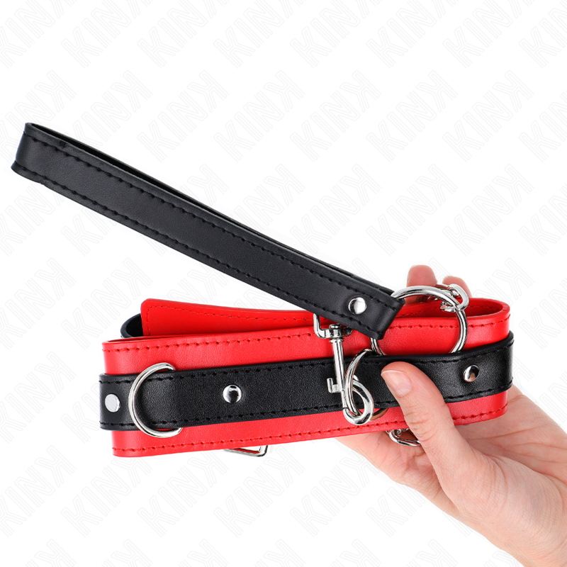 Basismodell Halsband mit Leine 65 cm Modell 3 rot 53 x 5 cm