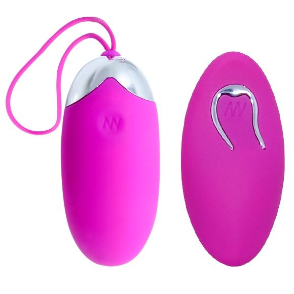 Egg Shepherd Fernbedienung 12V