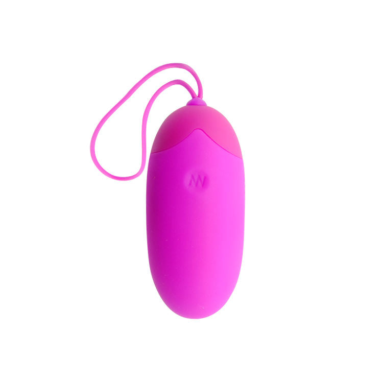 Egg Shepherd Fernbedienung 12V