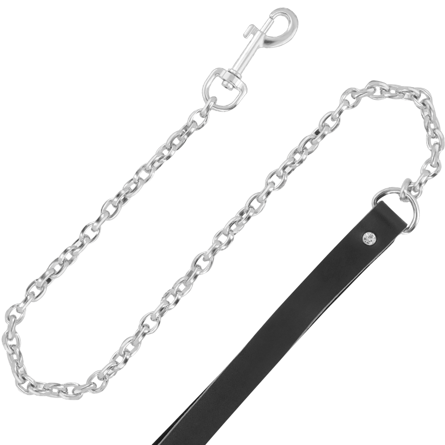 Hochwertiges Lederhalsband mit Leine
