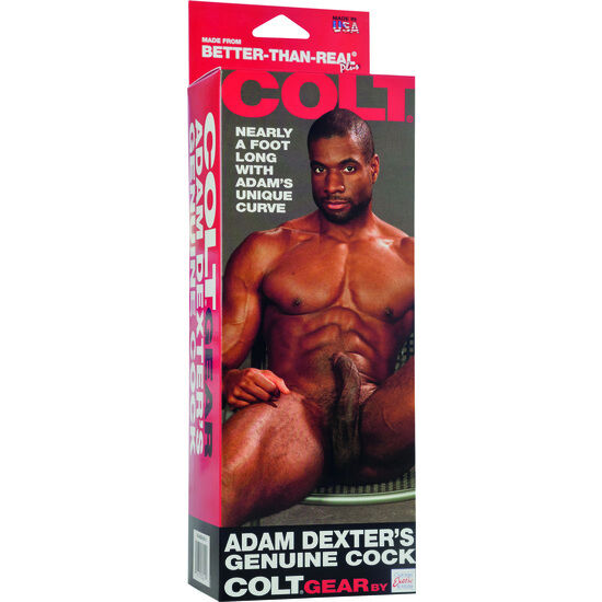 Colt Adam Dexters Schwanz