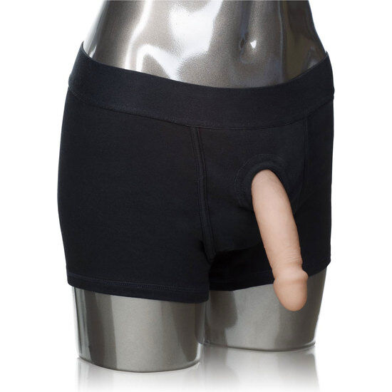 Boxergeschirr