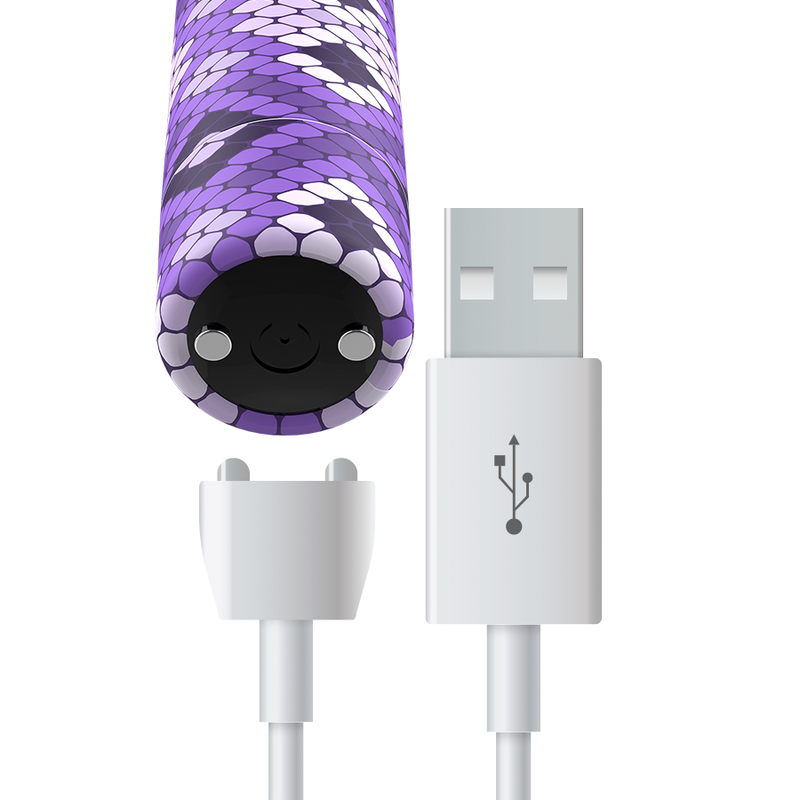 Wiederaufladbares, violettes magnetisches Bullet-Gerät mit 10 V